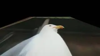 stanloona
