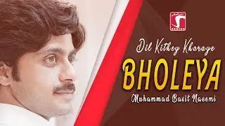 #Bholeya  | Dil Kithay Kharayai | Muhammad Basit Naeemi | Basit Naeemi Mehfil Program 2020