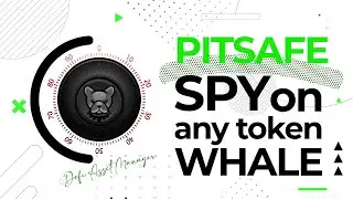 PitSafe Just LAUNCHED! SPY on any token WHALE | BSC DeFi Asset Manager