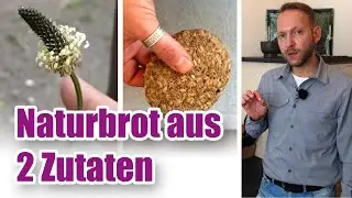 Glutenersatz mit Spitzwegerich: Brot aus nur 2 Zutaten! &ndash; Das Experiment 🌿🔬