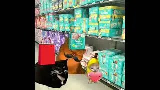 Yapapa & Baby Banana Cat Shopping Lost Car 😺❤️ #catmemes #cat #shorts #fyp #bananacat