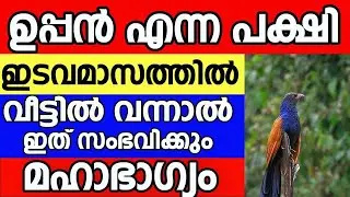 ഇടവമാസത്തിൽ ഉപ്പൻ വരുന്ന വിട്ടിൽ ഇത് സംഭവിക്കും ഒരിക്കലും ഈ തെറ്റ് ചെയ്യല്ലേ ||uppan |chakoram