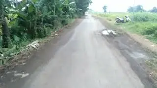 Diam - Yochen Amos 