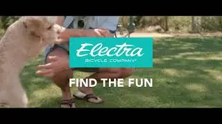 Electra in Dubai. Find the Fun: Dog