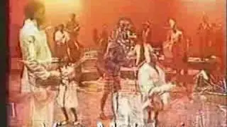 PAPA WEMBA  Mèa - culpa