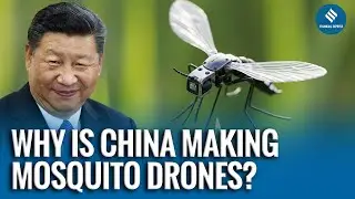 China&rsquo;s Tiny Mosquito-Sized Drone Could Revolutionize Modern Warfare