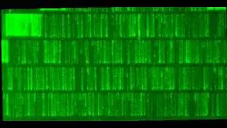 DNA Curtain On Nano Barrier