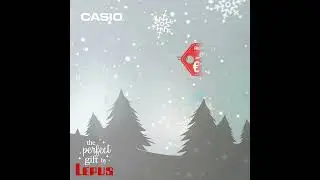 LEPUS | CASIO XMAS SALE