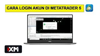 Cara Login Metatrader 5 di PC