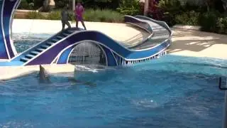 Калоян в Sea World, Orlando. Dolphin theater. 