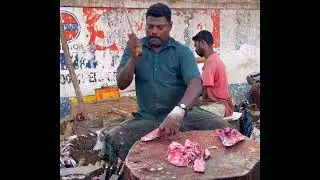 Esse sabe limpar um peixe.