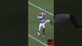 Merry Christmas🎄from Dropped Balls Pod, heres my Top 10 Catches from Week 16 #nfl #sports #football