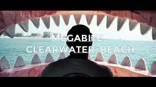 Mega Bite - Clearwater 4K