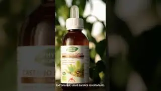 Sănătate vasculară naturală cu extract BIO de castane sălbatice | Phyto-Biop&ocirc;le