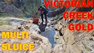 Victorian Creek Gold - МНОГОШЛЮЗОВОЙ