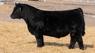VanHove 5147
