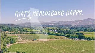 JNS Next - Stay Healdsburg Campaign Video