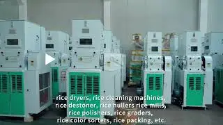 This Rice Huller Removes Husks Without Damaging a Single Grain! #ricehuller #ricehullingmachine