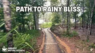 Countryside Rain Sounds 🌧️ Peaceful Rain for Deep Sleep and Relaxation
