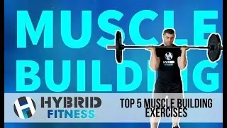 How To Build Muscle Fast? | Top 5 Muscle Building Exercises
