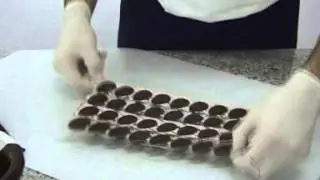 TERMOFORMATI