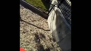 Michael and his dad going to the park