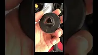 Integra Distributor Cap & Rotor