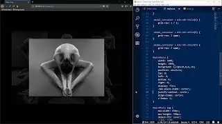 Gallery photo with css grid & js  2019
