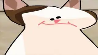 C A T  P O P