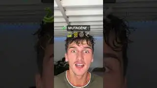 #pov : tout le monde doit boire du mutag&egrave;ne afin de conna&icirc;tre son animal int&eacute;rieur&hellip;[PART1/4]