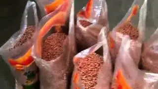 Peanut color sorter/peanuts sortex/color sorter running in factory