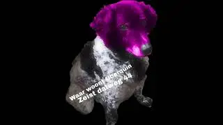 WAAR WOONT UBERQUIN!!!