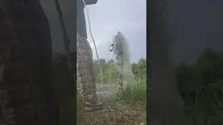Crazy Unexpected catch! #shorts #viral #reels