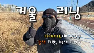 겨울 러닝 | 가성비로 끝내세요 & 갈색 지방, 다이어트 치트키