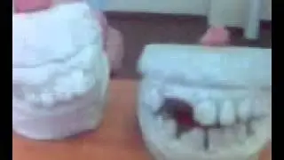 Песня моделей
