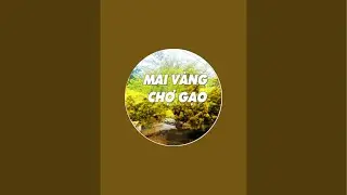 18/1/26 mai vàng chơi Tết, bao ship. mời cả nhà xem live nha
