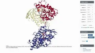 Adenylyl Cyclase Biochem 424