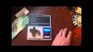 Toronto Hash Mob:  Oppose Bill C-10
