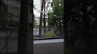 Araneta City Gateway Mall Garden (The City Of First) #youtubeshorts #youtubevideo