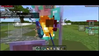 Diamond SMP