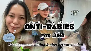 ANTI-RABIES FOR LUNA |What happened during & after her vaccination |FREE VACCINATION 