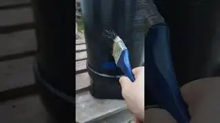 наконец покрасил!
