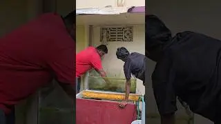 Cleaning 🤢Dirty Tank Of🐲 Dragon‼️🤯  #kolathurfishfarm #alligatorgar #fishkeepinghobby #aquariumfish