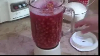Grewia Asiatica Jam |  Faalsay Ki Jam