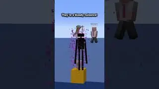 The truth about Endermen