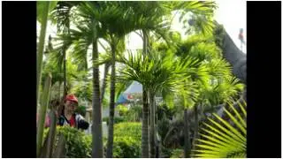 Khmer New Song 2014 -  RHM CD Vol 480 - Komlos Komsot - Duong Dara