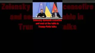 Zelensky Demands Ceasefire, Role in Trump-Putin Peace Talks