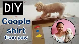 DIY  Couple Shirts from paw | Rainbowww DIY