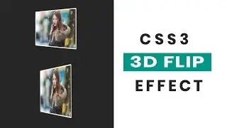 CSS3 3d flip image hover | CSS3 Animation Snippets