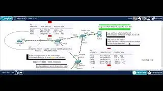 STP designated ports case 3